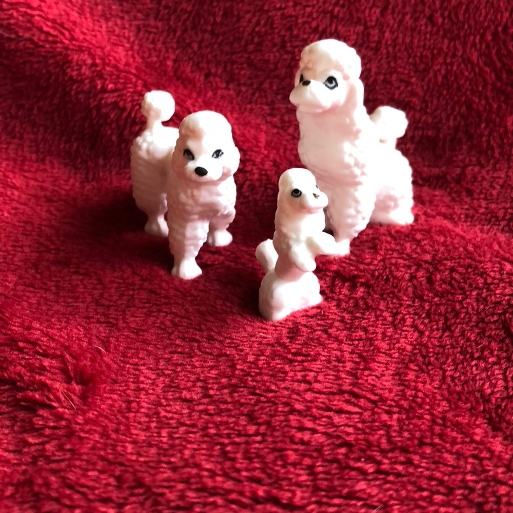 Vintage poodle family